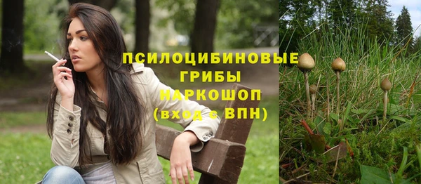 a pvp Алексин