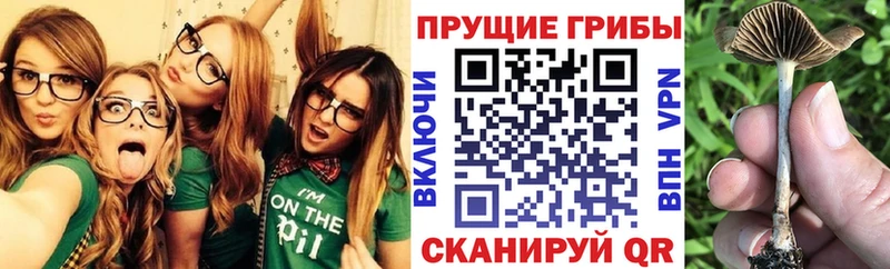 Псилоцибиновые грибы мицелий  цены   Красноуральск 